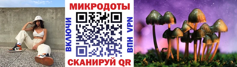 наркотики  Темрюк  Галлюциногенные грибы Cubensis 